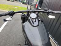 HARLEY-DAVIDSON SOFTAIL FAT BOB 1868